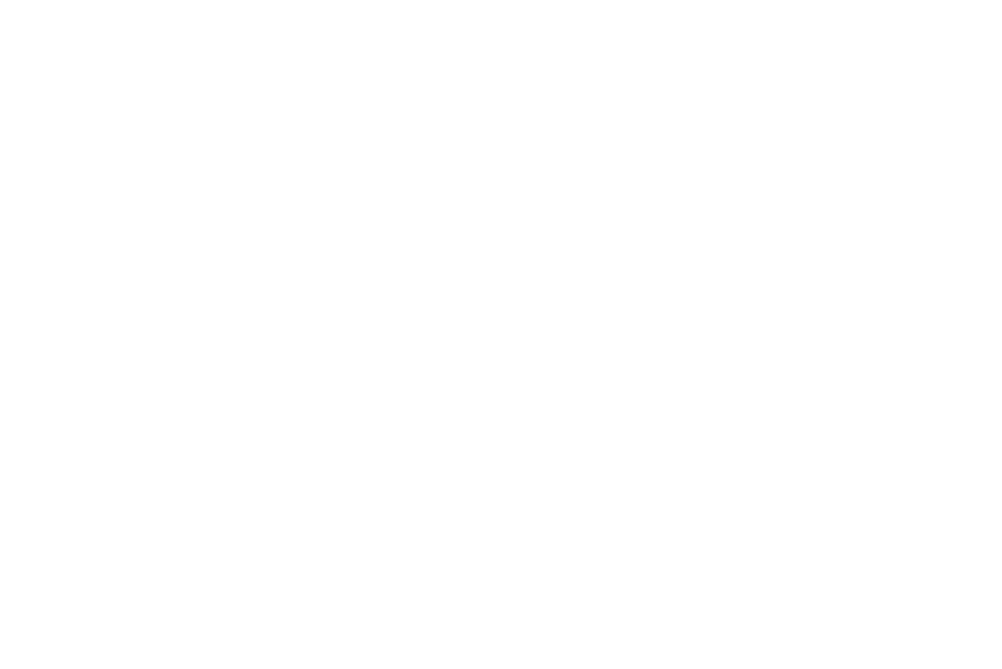 Brave Noddles Logo